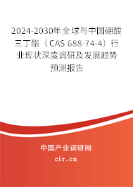 2024-2030年全球與中國硼酸三丁酯（CAS 688-74-4）行業(yè)現(xiàn)狀深度調研及發(fā)展趨勢預測報告