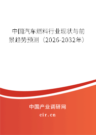 中國汽車燃料行業(yè)現(xiàn)狀與前景趨勢預測（2026-2032年）