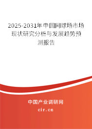 （最新）中國網球場市場現(xiàn)狀研究分析與發(fā)展趨勢預測報告
