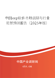 中國erp軟件市場調(diào)研與行業(yè)前景預(yù)測報(bào)告（2025年版）