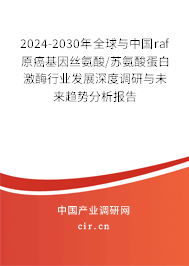 2024-2030年全球與中國raf原癌基因絲氨酸/蘇氨酸蛋白激酶行業(yè)發(fā)展深度調(diào)研與未來趨勢分析報(bào)告
