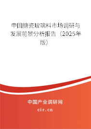 中國搪瓷玻璃料市場調(diào)研與發(fā)展前景分析報告（2025年版）