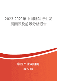 2023-2029年中國嘌呤行業(yè)發(fā)展回顧及前景分析報告