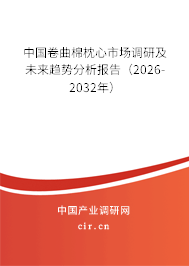 中國卷曲棉枕心市場調(diào)研及未來趨勢分析報告（2026-2032年）