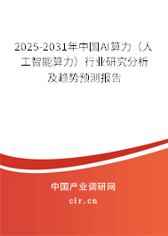 2025-2031年中國(guó)AI算力（人工智能算力）行業(yè)研究分析及趨勢(shì)預(yù)測(cè)報(bào)告