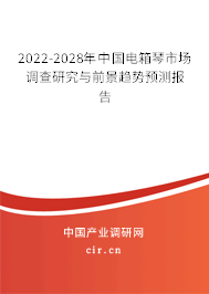 2022-2028年中國電箱琴市場調(diào)查研究與前景趨勢預測報告