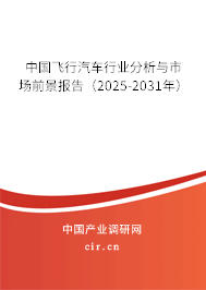 中國飛行汽車行業(yè)分析與市場前景報告（2025-2031年）
