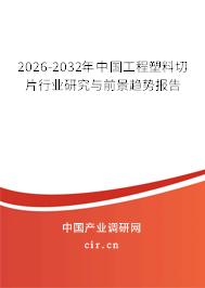 2026-2032年中國(guó)工程塑料切片行業(yè)研究與前景趨勢(shì)報(bào)告