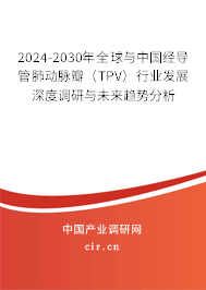 2024-2030年全球與中國經(jīng)導(dǎo)管肺動脈瓣（TPV）行業(yè)發(fā)展深度調(diào)研與未來趨勢分析