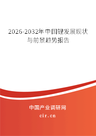 2026-2032年中國鋰發(fā)展現(xiàn)狀與前景趨勢報告