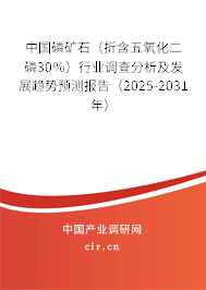 中國磷礦石（折含五氧化二磷30％）行業(yè)調(diào)查分析及發(fā)展趨勢預(yù)測報告（2025-2031年）