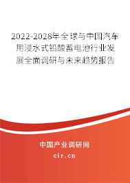2022-2028年全球與中國汽車用浸水式鉛酸蓄電池行業(yè)發(fā)展全面調(diào)研與未來趨勢報告 2022-2028年全球與中國汽車用浸水式鉛酸蓄電池行業(yè)發(fā)展全面調(diào)研與未來趨勢報告