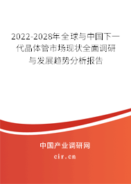 2022-2028年全球與中國下一代晶體管市場現(xiàn)狀全面調(diào)研與發(fā)展趨勢分析報告