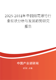 2025-2031年中國煙花爆竹行業(yè)現(xiàn)狀分析與發(fā)展趨勢(shì)研究報(bào)告 2025-2031年中國煙花爆竹行業(yè)現(xiàn)狀分析與發(fā)展趨勢(shì)研究報(bào)告