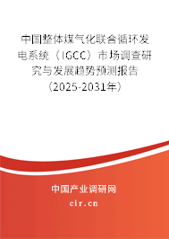 中國整體煤氣化聯(lián)合循環(huán)發(fā)電系統(tǒng)（IGCC）市場調(diào)查研究與發(fā)展趨勢預(yù)測報(bào)告（2025-2031年）
