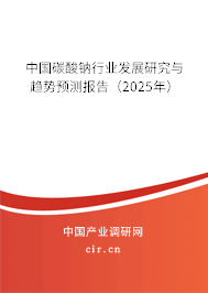 中國碳酸鈉行業(yè)發(fā)展研究與趨勢預(yù)測報告（2025年）