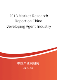 2013 Market Research Report on China Developing Agent Industry 2013 Market Research Report on China Developing Agent Industry
