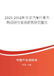 2025-2031年北京汽車行業(yè)市場調研與發(fā)展趨勢研究報告