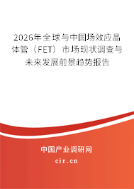 2026年全球與中國場效應(yīng)晶體管（FET）市場現(xiàn)狀調(diào)查與未來發(fā)展前景趨勢報告