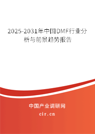 2025-2031年中國DMF行業(yè)分析與前景趨勢報告