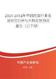 2025-2031年中國防雷行業(yè)發(fā)展研究分析與市場前景預(yù)測報告（已下架）