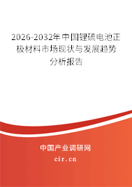2025-2031年中國(guó)鋰硫電池正極材料市場(chǎng)現(xiàn)狀與發(fā)展趨勢(shì)分析報(bào)告