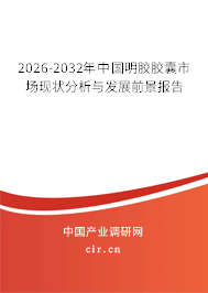 2026-2032年中國明膠膠囊市場(chǎng)現(xiàn)狀分析與發(fā)展前景報(bào)告