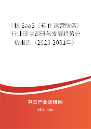 中國SaaS（軟件運(yùn)營服務(wù)）行業(yè)現(xiàn)狀調(diào)研與發(fā)展趨勢(shì)分析報(bào)告（2025-2031年）