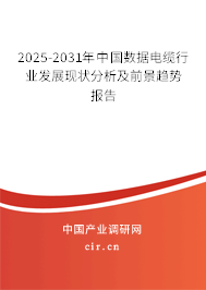 2025-2031年中國數(shù)據(jù)電纜行業(yè)發(fā)展現(xiàn)狀分析及前景趨勢報告