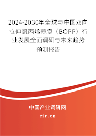 2024-2030年全球與中國(guó)雙向拉伸聚丙烯薄膜（BOPP）行業(yè)發(fā)展全面調(diào)研與未來(lái)趨勢(shì)預(yù)測(cè)報(bào)告