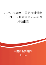 2025-2031年中國無接觸供電（CPT）行業(yè)發(fā)展調(diào)研與前景分析報告