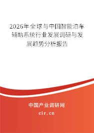 2026年全球與中國智能泊車輔助系統(tǒng)行業(yè)發(fā)展調(diào)研與發(fā)展趨勢分析報告