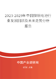 2023-2029年中國鎳鎘電池行業(yè)發(fā)展回顧及未來走勢分析報告