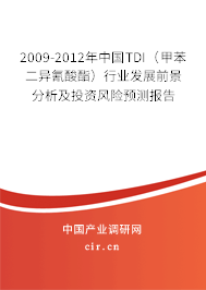 2009-2012年中國(guó)TDI（甲苯二異氰酸酯）行業(yè)發(fā)展前景分析及投資風(fēng)險(xiǎn)預(yù)測(cè)報(bào)告