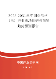 2025-2031年中國(guó)保險(xiǎn)絲（電）行業(yè)市場(chǎng)調(diào)研與前景趨勢(shì)預(yù)測(cè)報(bào)告