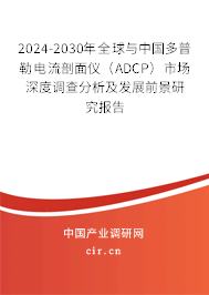 2024-2030年全球與中國多普勒電流剖面儀（ADCP）市場深度調(diào)查分析及發(fā)展前景研究報(bào)告