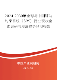 2024-2030年全球與中國輔助約束系統(tǒng)(SRS)行業(yè)現(xiàn)狀全面調(diào)研與發(fā)展趨勢預(yù)測報告 2024-2030年全球與中國輔助約束系統(tǒng)(SRS)行業(yè)現(xiàn)狀全面調(diào)研與發(fā)展趨勢預(yù)測報告