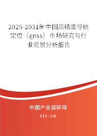 2025-2031年中國(guó)高精度導(dǎo)航定位（gnss）市場(chǎng)研究與行業(yè)前景分析報(bào)告