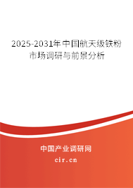 2025-2031年中國航天級鐵粉市場調(diào)研與前景分析