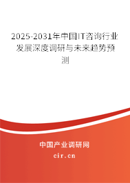 2025-2031年中國(guó)IT咨詢行業(yè)發(fā)展深度調(diào)研與未來(lái)趨勢(shì)預(yù)測(cè)