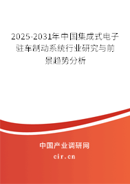 2025-2031年中國(guó)集成式電子駐車(chē)制動(dòng)系統(tǒng)行業(yè)研究與前景趨勢(shì)分析