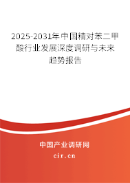 2025-2031年中國(guó)精對(duì)苯二甲酸行業(yè)發(fā)展深度調(diào)研與未來(lái)趨勢(shì)報(bào)告