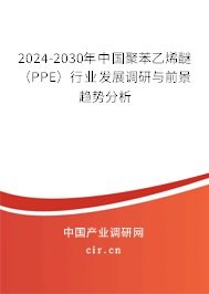 2024-2030年中國聚苯乙烯醚（PPE）行業(yè)發(fā)展調(diào)研與前景趨勢分析