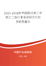 2024-2030年中國聚對苯二甲酸乙二酯行業(yè)發(fā)展研究與前景趨勢報告