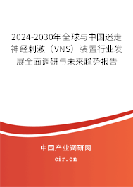 2024-2030年全球與中國迷走神經(jīng)刺激(VNS)裝置行業(yè)發(fā)展全面調(diào)研與未來趨勢報告 2024-2030年全球與中國迷走神經(jīng)刺激(VNS)裝置行業(yè)發(fā)展全面調(diào)研與未來趨勢報告