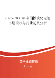 2025-2031年中國模塊化電池市場現(xiàn)狀與行業(yè)前景分析