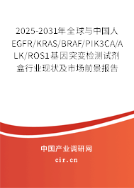 2025-2031年全球與中國(guó)人EGFR/KRAS/BRAF/PIK3CA/ALK/ROS1基因突變檢測(cè)試劑盒行業(yè)現(xiàn)狀及市場(chǎng)前景報(bào)告