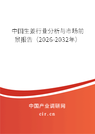 中國生姜行業(yè)分析與市場前景報告(2026-2032年) 中國生姜行業(yè)分析與市場前景報告(2026-2032年)