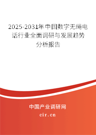 2025-2031年中國數(shù)字無繩電話行業(yè)全面調(diào)研與發(fā)展趨勢分析報告
