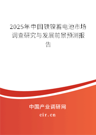2025年中國鐵鎳蓄電池市場調查研究與發(fā)展前景預測報告